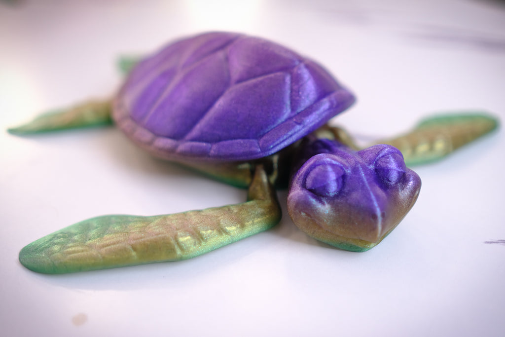 Custom Fidget Turtle